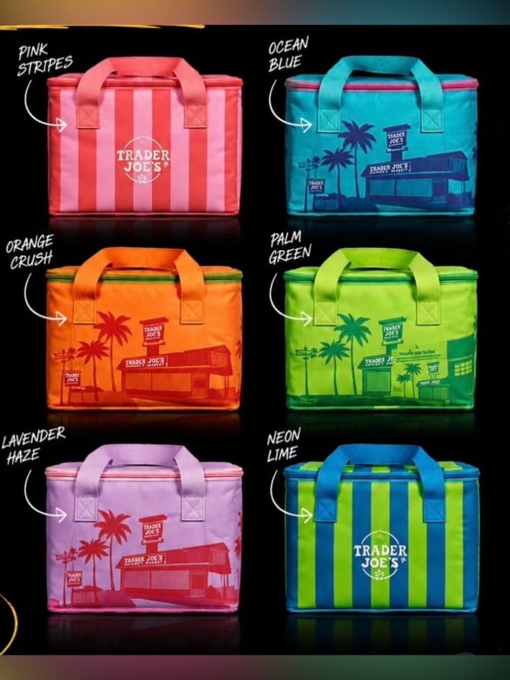 Trader Joe's Insulated Cooler Tote - Multiple Colorways